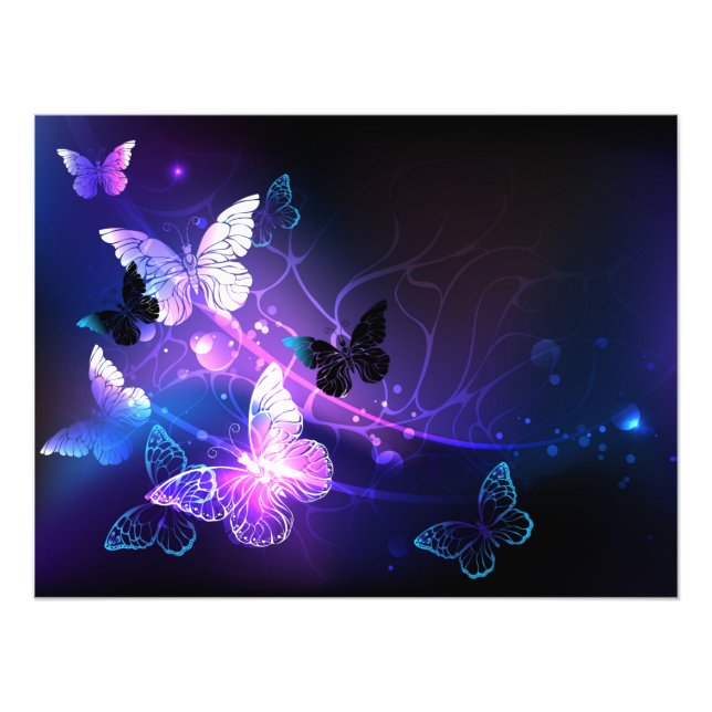 Foto Fondo con mariposas nocturnas (Frente)