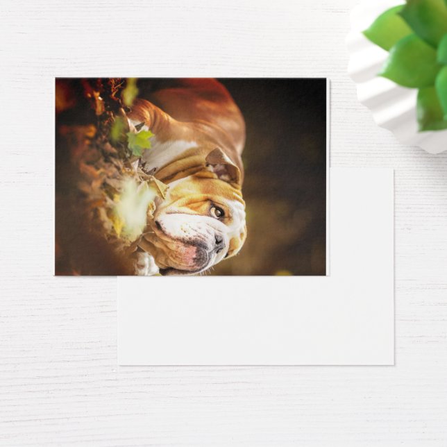 Foto forestal del Bulldog inglés (Escritorio)