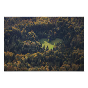 Foto Forma cardíaca en un bosque de Eslovenia