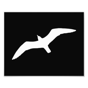 Foto Forma de gaviota