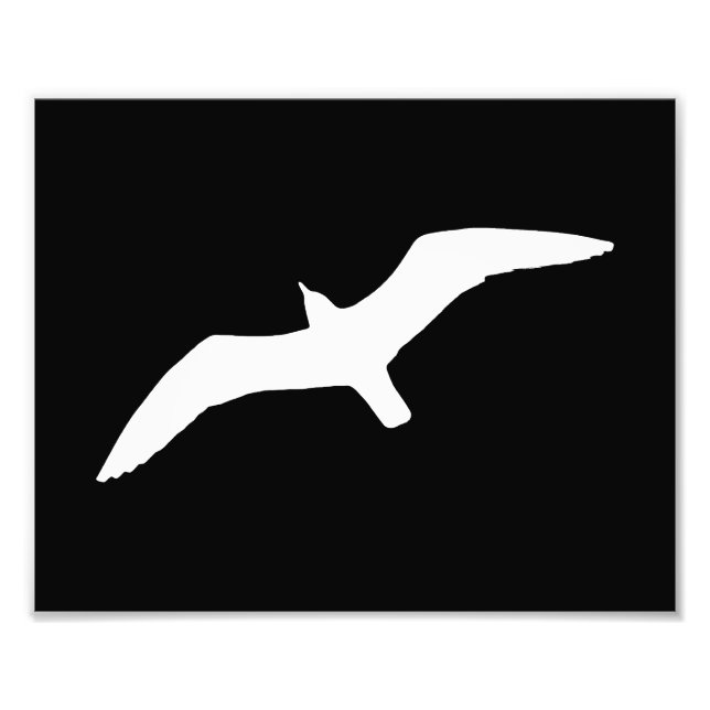 Foto Forma de gaviota (Frente)