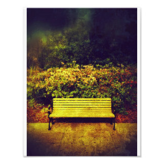Foto Forsyth Park Bench