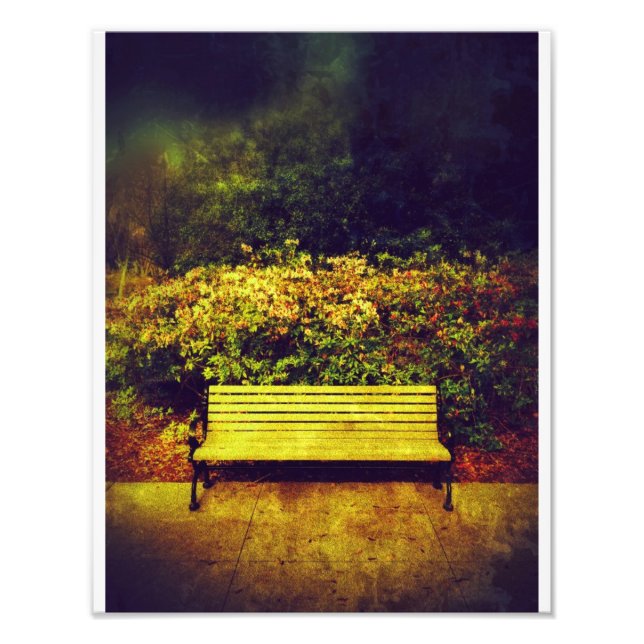 Foto Forsyth Park Bench (Frente)