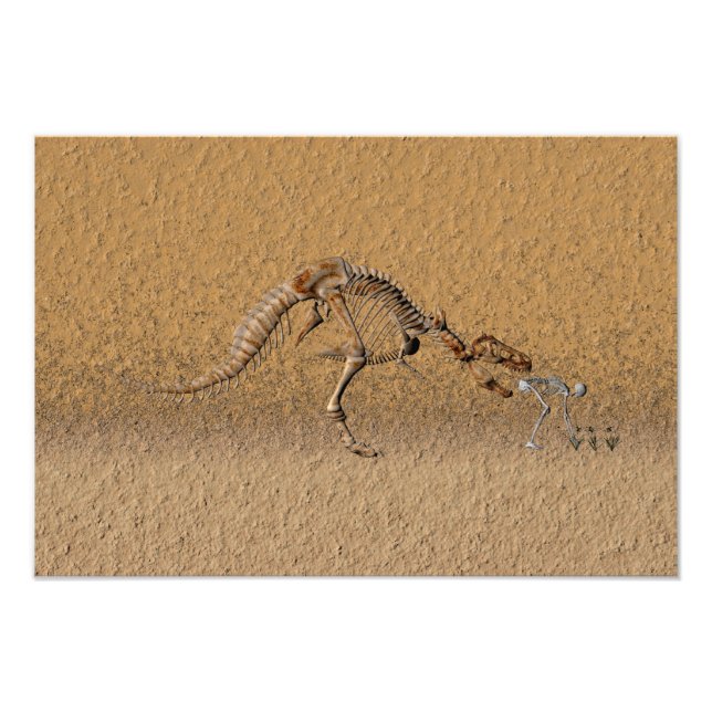 Foto Fósil de deformación temporal (Frente)