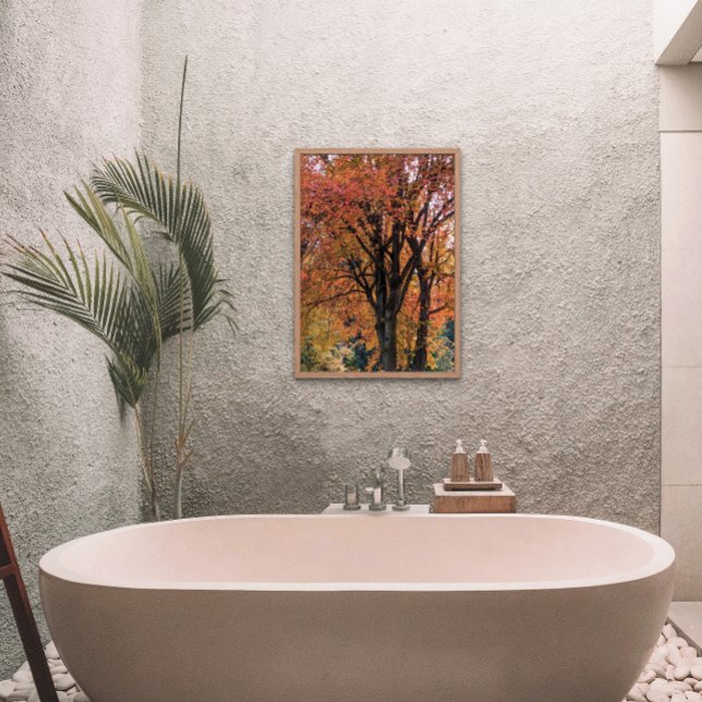 Foto Fotografía de coloridas hojas de otoño (In Situ Framed)