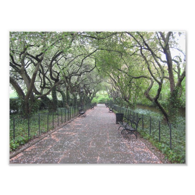 Foto Fotografía de Conservatory Garden Central Park NYC (Frente)
