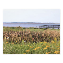 Foto fotografía de hi def, océano, puente, flores silve