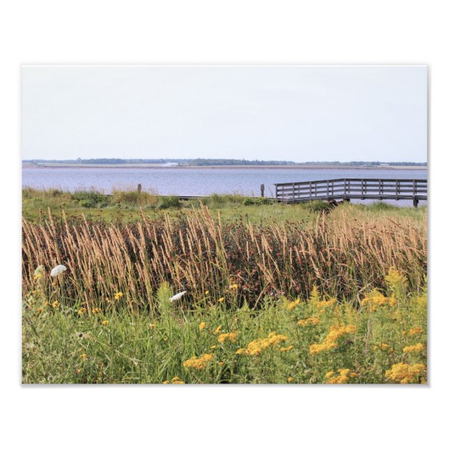 Foto fotografía de hi def, océano, puente, flores silve (Frente)