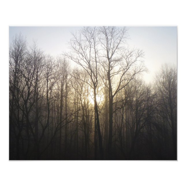 Foto Fotografía de la naturaleza del amanecer de niebla (Frente)