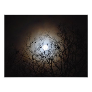Foto Fotografía de Luna Llena