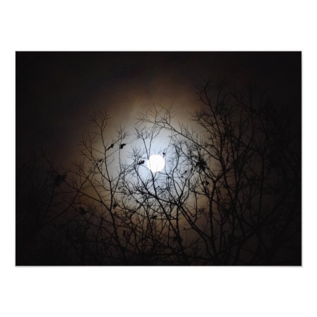 Foto Fotografía de Luna Llena (Frente)
