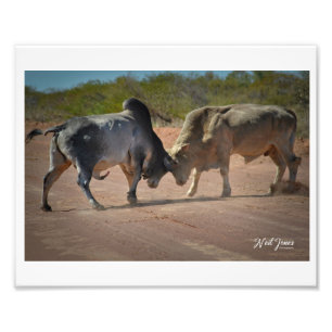 Foto Fotografía de Neil Jones - Rey de la carretera.