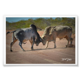 Foto Fotografía de Neil Jones - Rey de la carretera.