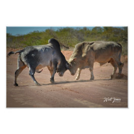 Foto Fotografía de Neil Jones - Rey de la Ruta