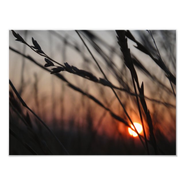 Foto Fotografía de Sunset Photo Kodak (Frente)