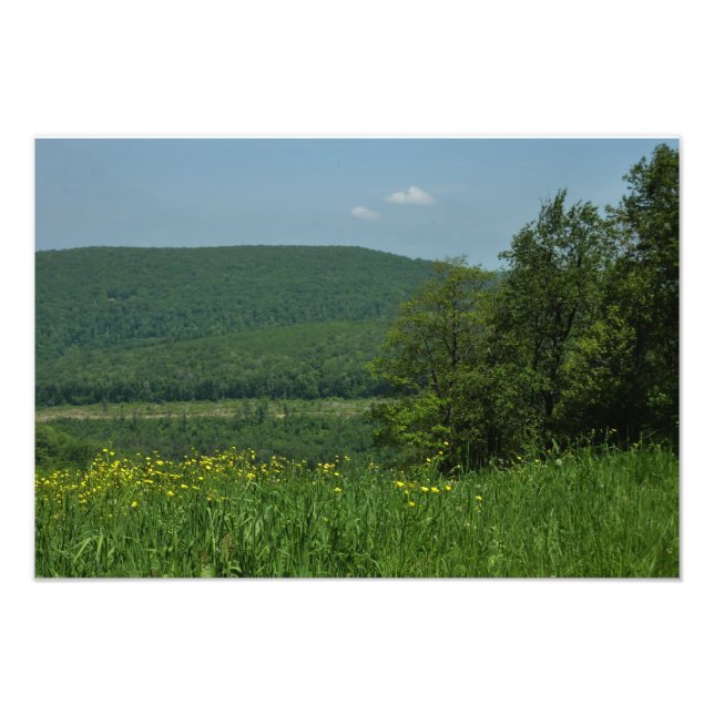 Foto Fotografía de verano de Laurel Highlands Pennsylva (Frente)