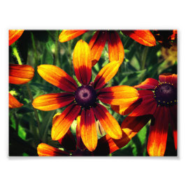 Foto Fotografía floral Kodak Profesional