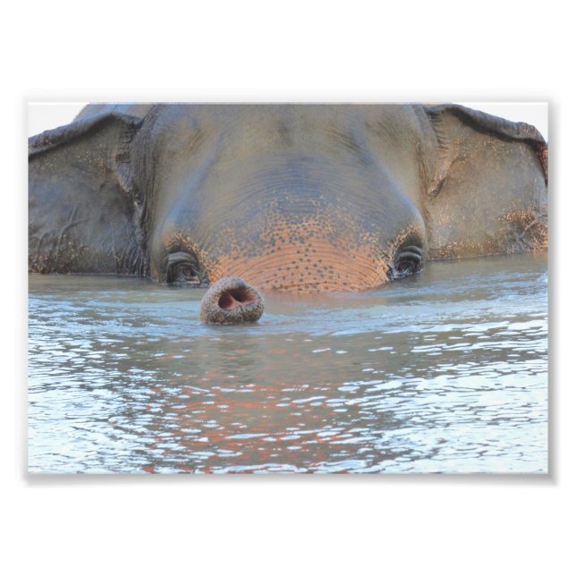 Foto Fotografías: Vida silvestre y fotografía de la nat (Frente)