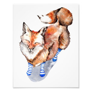 Foto Fox en calcetines