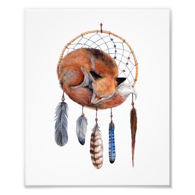 Foto Fox roja durmiendo en la imprenta de Dreamcatcher  (Frente)