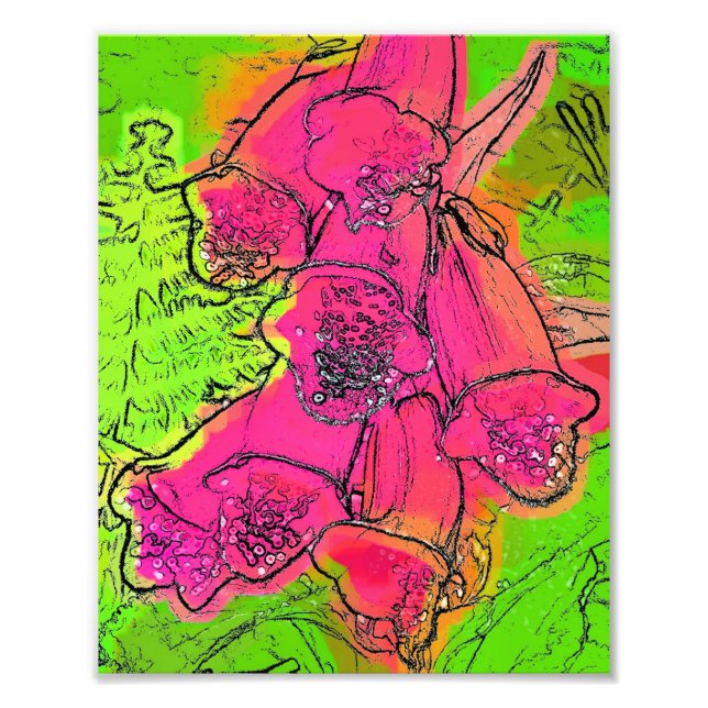 FOTO FOXGLOVES (Frente)