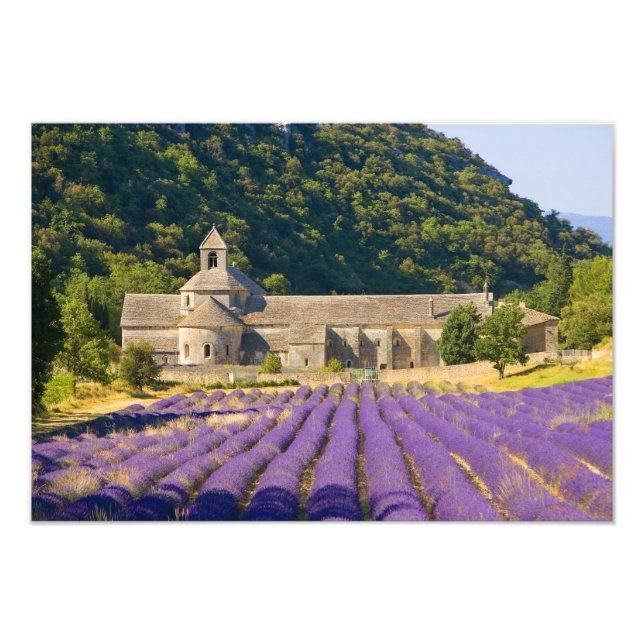 Foto Francia, Gordes Monasterio cisterciense de (Frente)