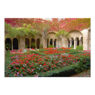 Foto Francia, St. Remy de Provence, claustros a las 2