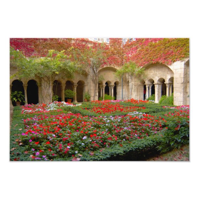 Foto Francia, St. Remy de Provence, claustros a las 2 (Frente)