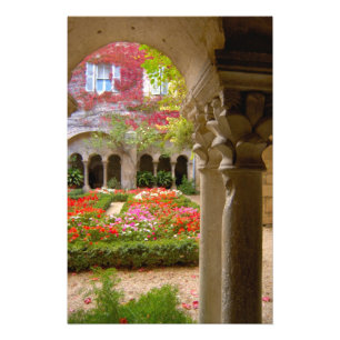 Foto Francia, St. Remy de Provence, claustros a las 3