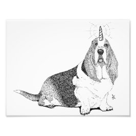 Foto Fred el Bassetcorn