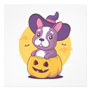 Foto Frenchie Halloween