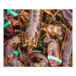 Foto Fresh Off The Boat  24x20 Kodak Pro Photo  (Satin)