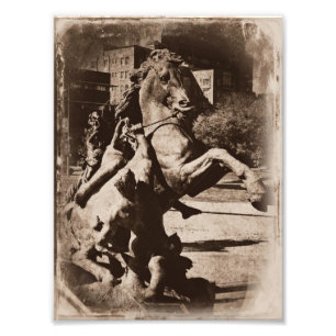 Foto Fuente de Kansas City Horse Sepia Grunge