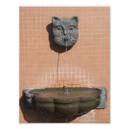 Foto Fuente Plaza Cat