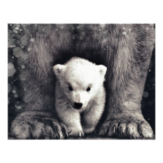 Foto Fuerte Como Una Mamma De Oso Polar