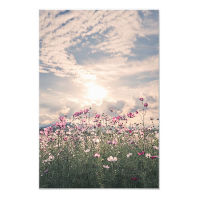 Foto Fujiwara Palace Site, cosmos (Frente)
