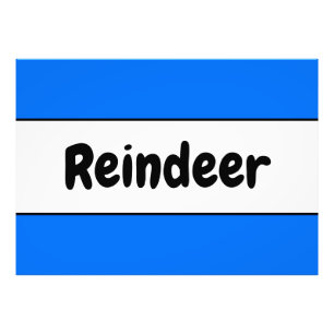 Foto Fun REINDER Fun Bright Blue Holiday Stripes