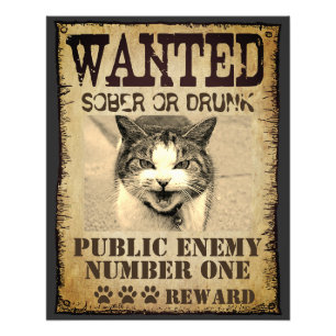 Foto Funny custom wanted poster
