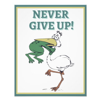 Foto Funny Frog Chog Bird Poster Inspiradora