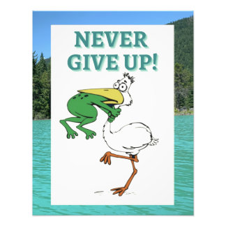 Foto Funny Frog Chog Bird Poster Inspiradora