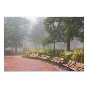 Foto GA Savannah, Azaleas a lo largo de la acera de lad