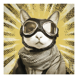 Foto Gafas de Gato Aviador Estallido de Sol Retrato