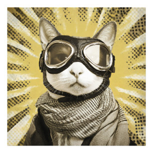Foto Gafas de Gato Aviador Estallido de Sol Retrato