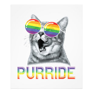 Foto Gafas de sol arcoíris Orgullo Gay Gato Divertido L