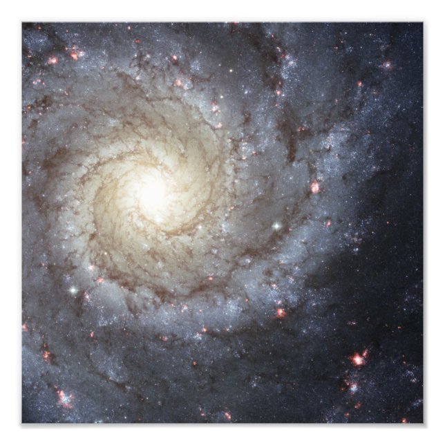 Foto Galaxia espiral M74 (Frente)