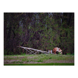 Foto "Gale me empujó"