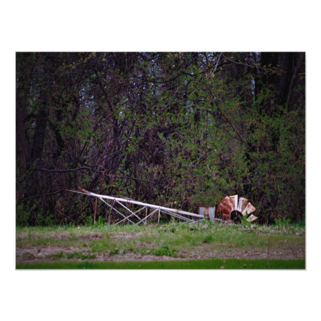 Foto "Gale me empujó" (Frente)