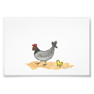 FOTO GALLINA CON EL POLLUELO