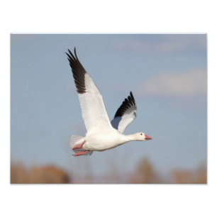 Foto Ganar alto en el cielo