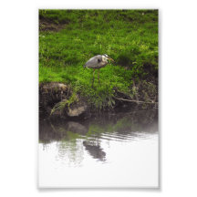 Garza reflectante